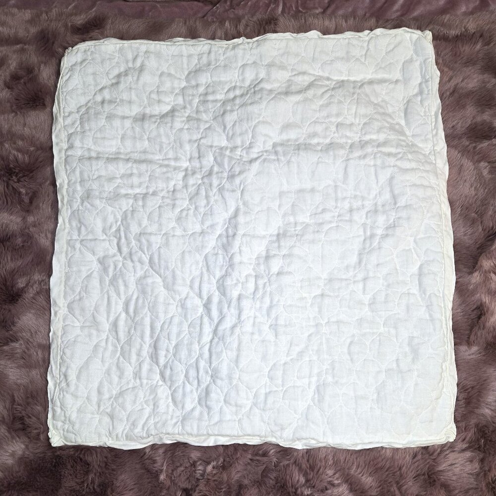 Bella Notte June single EURO Sham W Petite Flange 26x26 WINTER WHITE